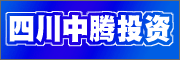 �Ĵ�����Ͷ�����޹�˾��Ƹ
